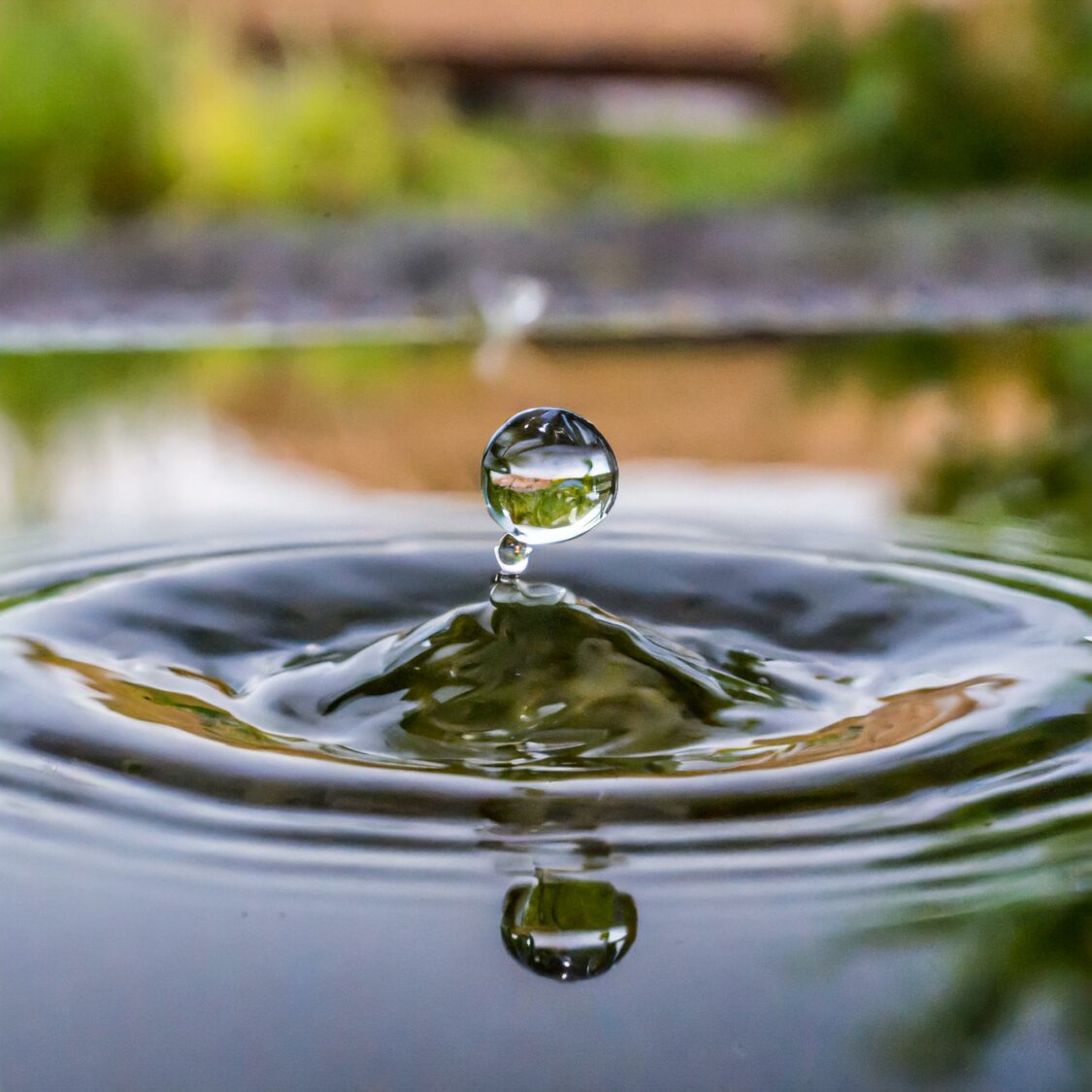 Närbild på en vattendroppe som landar på ytan av en blank vattenyta