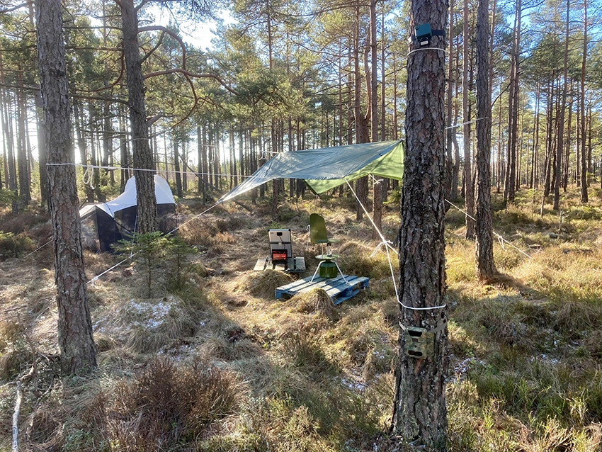LifePlan setup i skogen