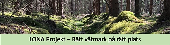 Våtmark