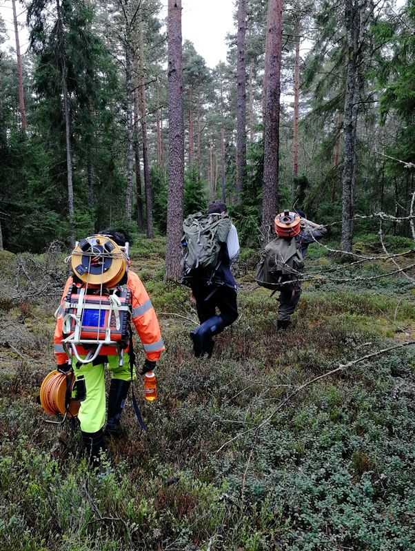 Forskning i fält vid sjön Bolmen. Fotograf Tina Martin.