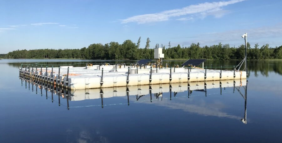 Mesokosmer på sjön Bolmen