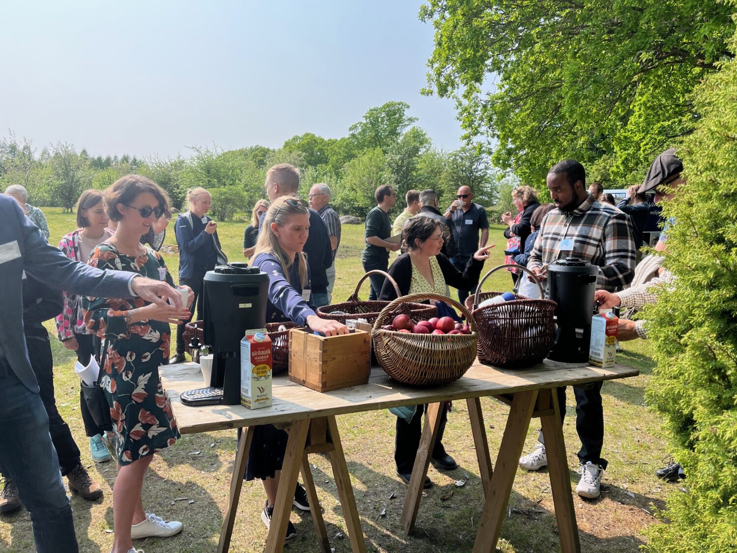 Fika på ängen under vattenkonferensen