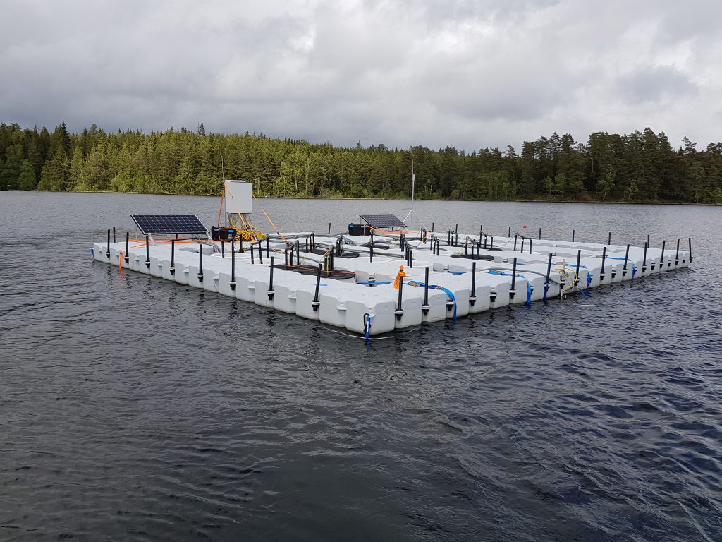 Mesokosmer på sjön Bolmen