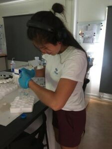 Angela filtrerar prover för analys av organiskt material