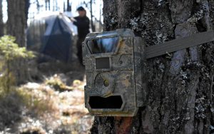 Kamouflagefärgad rörelsekamera för Lifeplan.